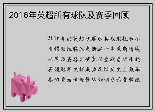 2016年英超所有球队及赛季回顾